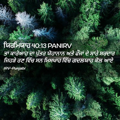 Picture 02 - ਯਿਰਮਿਯਾਹ 40:13 PANIRV - ਤਾਂ ਕਾਰੇਆਹ ਦਾ - Bible Verse Picture