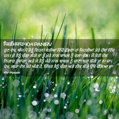 Picture 02 - ਯਿਰਮਿਯਾਹ 40:4 PANIRV - ਹੁਣ ਵੇਖ, ਅੱਜ ਮੈਂ - Bible Verse Picture
