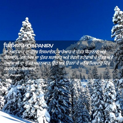 Picture 02 - ਯਿਰਮਿਯਾਹ 40:8 PANIRV - ਤਾਂ ਨਥਨਯਾਹ ਦਾ - Bible Verse Picture
