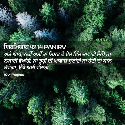 Picture 02 - ਯਿਰਮਿਯਾਹ 42:14 PANIRV - ਅਤੇ ਆਖੋ, ਨਹੀਂ ਅਸੀਂ - Bible Verse Picture
