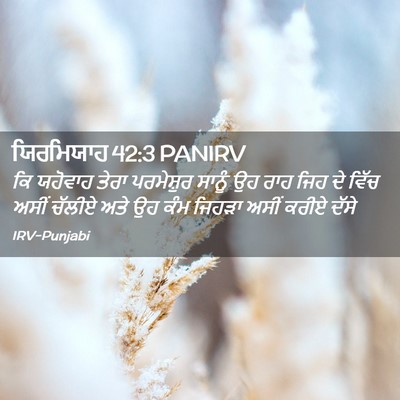 Picture 02 - ਯਿਰਮਿਯਾਹ 42:3 PANIRV - ਕਿ ਯਹੋਵਾਹ ਤੇਰਾ - Bible Verse Picture