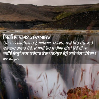 Picture 02 - ਯਿਰਮਿਯਾਹ 42:5 PANIRV - ਉਹਨਾਂ ਨੇ ਯਿਰਮਿਯਾਹ - Bible Verse Picture