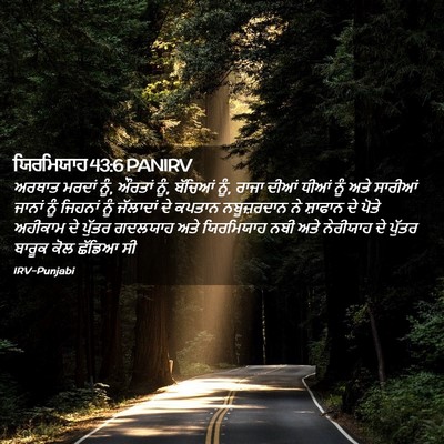 Picture 02 - ਯਿਰਮਿਯਾਹ 43:6 PANIRV - ਅਰਥਾਤ ਮਰਦਾਂ ਨੂੰ, - Bible Verse Picture