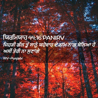 Picture 02 - ਯਿਰਮਿਯਾਹ 44:16 PANIRV - ਜਿਹੜੀ ਗੱਲ ਤੂੰ - Bible Verse Picture