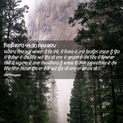 Picture 02 - ਯਿਰਮਿਯਾਹ 44:30 PANIRV - ਯਹੋਵਾਹ ਇਸ ਤਰ੍ਹਾਂ - Bible Verse Picture