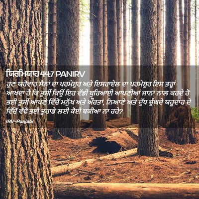 Picture 02 - ਯਿਰਮਿਯਾਹ 44:7 PANIRV - ਹੁਣ ਯਹੋਵਾਹ ਸੈਨਾਂ - Bible Verse Picture
