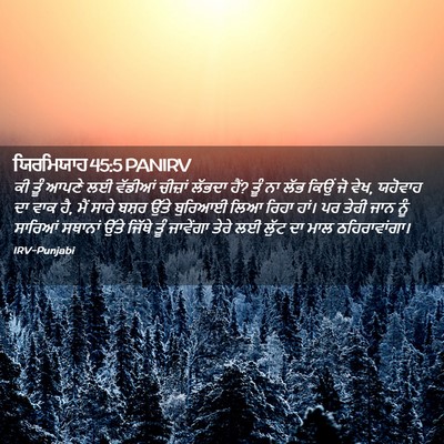 Picture 02 - ਯਿਰਮਿਯਾਹ 45:5 PANIRV - ਕੀ ਤੂੰ ਆਪਣੇ ਲਈ - Bible Verse Picture