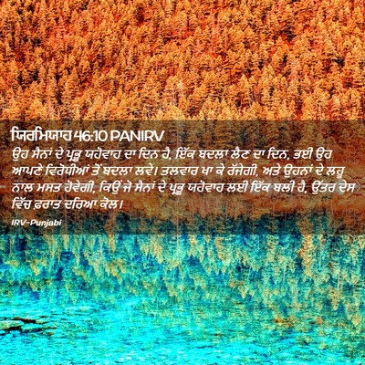 Picture 02 - ਯਿਰਮਿਯਾਹ 46:10 PANIRV - ਉਹ ਸੈਨਾਂ ਦੇ ਪ੍ਰਭੂ - Bible Verse Picture