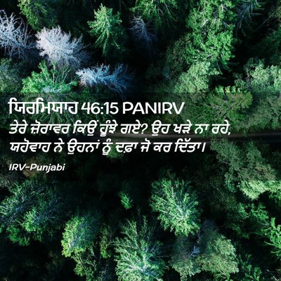 Picture 02 - ਯਿਰਮਿਯਾਹ 46:15 PANIRV - ਤੇਰੇ ਜ਼ੋਰਾਵਰ ਕਿਉਂ - Bible Verse Picture