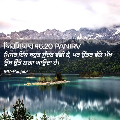Picture 02 - ਯਿਰਮਿਯਾਹ 46:20 PANIRV - ਮਿਸਰ ਇੱਕ ਬਹੁਤ - Bible Verse Picture