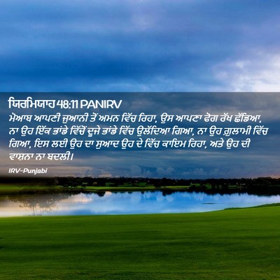 Picture 02 - ਯਿਰਮਿਯਾਹ 48:11 PANIRV - ਮੋਆਬ ਆਪਣੀ ਜੁਆਨੀ - Bible Verse Picture