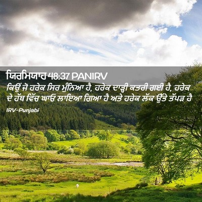 Picture 02 - ਯਿਰਮਿਯਾਹ 48:37 PANIRV - ਕਿਉਂ ਜੋ ਹਰੇਕ ਸਿਰ - Bible Verse Picture