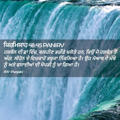 Picture 02 - ਯਿਰਮਿਯਾਹ 48:45 PANIRV - ਹਸ਼ਬੋਨ ਦੀ ਛਾਂ ਵਿੱਚ, - Bible Verse Picture