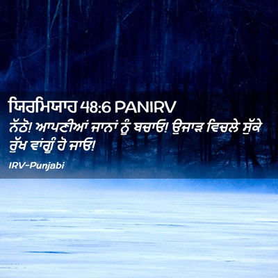Picture 02 - ਯਿਰਮਿਯਾਹ 48:6 PANIRV - ਨੱਠੋ! ਆਪਣੀਆਂ ਜਾਨਾਂ - Bible Verse Picture