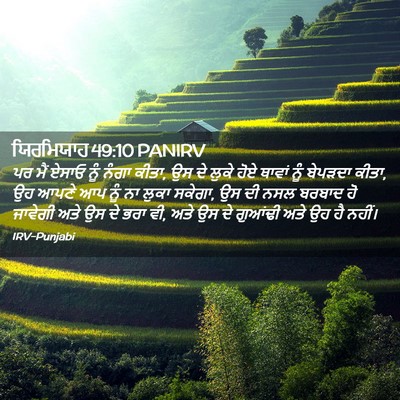 Picture 02 - ਯਿਰਮਿਯਾਹ 49:10 PANIRV - ਪਰ ਮੈਂ ਏਸਾਓ ਨੂੰ - Bible Verse Picture