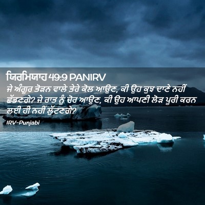Picture 02 - ਯਿਰਮਿਯਾਹ 49:9 PANIRV - ਜੇ ਅੰਗੂਰ ਤੋੜਨ ਵਾਲੇ - Bible Verse Picture