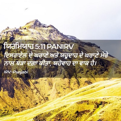 Picture 02 - ਯਿਰਮਿਯਾਹ 5:11 PANIRV - ਇਸਰਾਏਲ ਦੇ ਘਰਾਣੇ - Bible Verse Picture