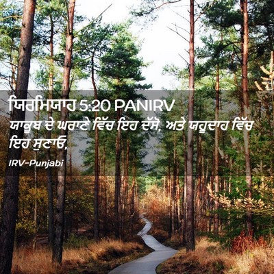 Picture 02 - ਯਿਰਮਿਯਾਹ 5:20 PANIRV - ਯਾਕੂਬ ਦੇ ਘਰਾਣੇ - Bible Verse Picture