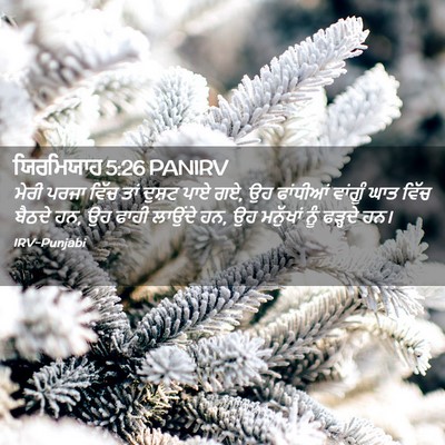 Picture 02 - ਯਿਰਮਿਯਾਹ 5:26 PANIRV - ਮੇਰੀ ਪਰਜਾ ਵਿੱਚ ਤਾਂ - Bible Verse Picture