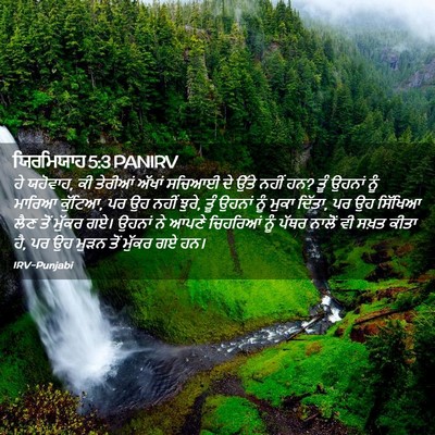Picture 02 - ਯਿਰਮਿਯਾਹ 5:3 PANIRV - ਹੇ ਯਹੋਵਾਹ, ਕੀ - Bible Verse Picture