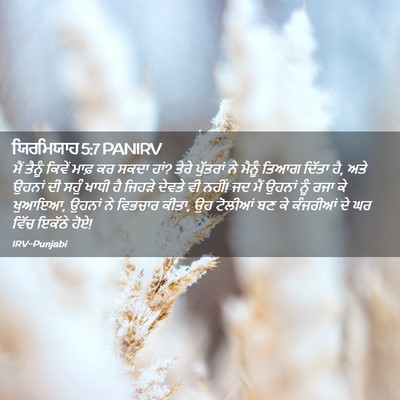 Picture 02 - ਯਿਰਮਿਯਾਹ 5:7 PANIRV - ਮੈਂ ਤੈਨੂੰ ਕਿਵੇਂ - Bible Verse Picture