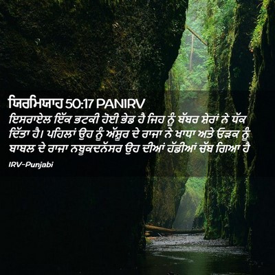 Picture 02 - ਯਿਰਮਿਯਾਹ 50:17 PANIRV - ਇਸਰਾਏਲ ਇੱਕ ਭਟਕੀ - Bible Verse Picture
