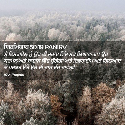 Picture 02 - ਯਿਰਮਿਯਾਹ 50:19 PANIRV - ਮੈਂ ਇਸਰਾਏਲ ਨੂੰ ਉਹ - Bible Verse Picture