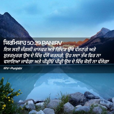Picture 02 - ਯਿਰਮਿਯਾਹ 50:39 PANIRV - ਇਸ ਲਈ ਜੰਗਲੀ ਜਾਨਵਰ - Bible Verse Picture
