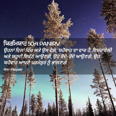 Picture 02 - ਯਿਰਮਿਯਾਹ 50:4 PANIRV - ਉਹਨਾਂ ਦਿਨਾਂ ਵਿੱਚ - Bible Verse Picture