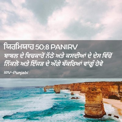 Picture 02 - ਯਿਰਮਿਯਾਹ 50:8 PANIRV - ਬਾਬਲ ਦੇ ਵਿਚਕਾਰੋਂ - Bible Verse Picture