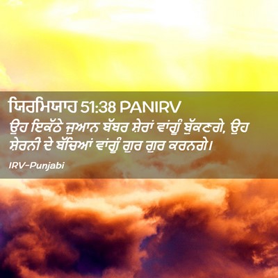 Picture 02 - ਯਿਰਮਿਯਾਹ 51:38 PANIRV - ਉਹ ਇਕੱਠੇ ਜੁਆਨ ਬੱਬਰ - Bible Verse Picture