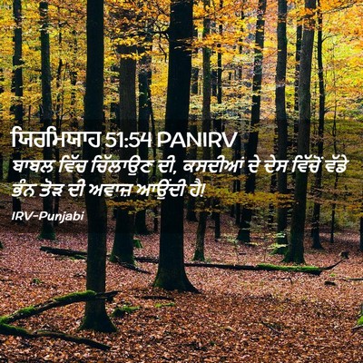 Picture 02 - ਯਿਰਮਿਯਾਹ 51:54 PANIRV - ਬਾਬਲ ਵਿੱਚ ਚਿੱਲਾਉਣ - Bible Verse Picture