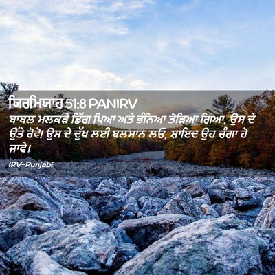 Picture 02 - ਯਿਰਮਿਯਾਹ 51:8 PANIRV - ਬਾਬਲ ਮਲਕੜੇ ਡਿੱਗ - Bible Verse Picture