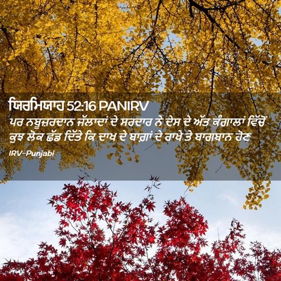 Picture 02 - ਯਿਰਮਿਯਾਹ 52:16 PANIRV - ਪਰ ਨਬੂਜ਼ਰਦਾਨ - Bible Verse Picture