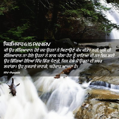 Picture 02 - ਯਿਰਮਿਯਾਹ 6:15 PANIRV - ਕੀ ਉਹ ਲੱਜਿਆਵਾਨ ਹੋਏ - Bible Verse Picture