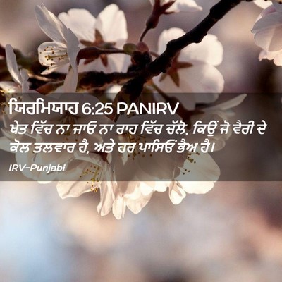 Picture 02 - ਯਿਰਮਿਯਾਹ 6:25 PANIRV - ਖੇਤ ਵਿੱਚ ਨਾ ਜਾਓ ਨਾ - Bible Verse Picture