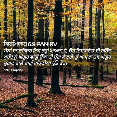 Picture 02 - ਯਿਰਮਿਯਾਹ 6:9 PANIRV - ਸੈਨਾਂ ਦਾ ਯਹੋਵਾਹ ਇਸ - Bible Verse Picture