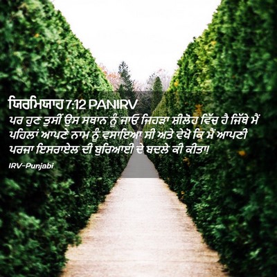 Picture 02 - ਯਿਰਮਿਯਾਹ 7:12 PANIRV - ਪਰ ਹੁਣ ਤੁਸੀਂ ਉਸ - Bible Verse Picture
