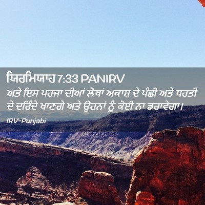 Picture 02 - ਯਿਰਮਿਯਾਹ 7:33 PANIRV - ਅਤੇ ਇਸ ਪਰਜਾ ਦੀਆਂ - Bible Verse Picture