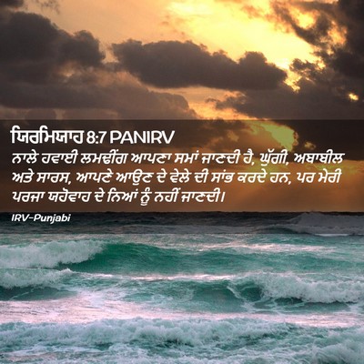 Picture 02 - ਯਿਰਮਿਯਾਹ 8:7 PANIRV - ਨਾਲੇ ਹਵਾਈ ਲਮਢੀਂਗ - Bible Verse Picture
