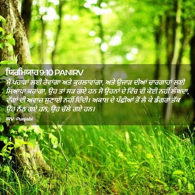 Picture 02 - ਯਿਰਮਿਯਾਹ 9:10 PANIRV - ਮੈਂ ਪਹਾੜਾਂ ਲਈ - Bible Verse Picture