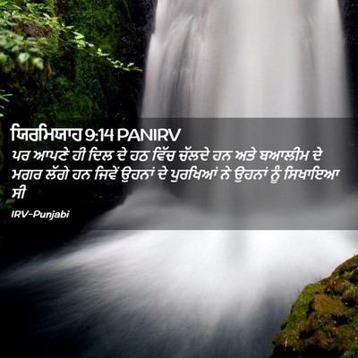 Picture 02 - ਯਿਰਮਿਯਾਹ 9:14 PANIRV - ਪਰ ਆਪਣੇ ਹੀ ਦਿਲ ਦੇ - Bible Verse Picture