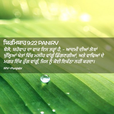 Picture 02 - ਯਿਰਮਿਯਾਹ 9:22 PANIRV - ਬੋਲੋ, ਯਹੋਵਾਹ ਦਾ ਵਾਕ - Bible Verse Picture