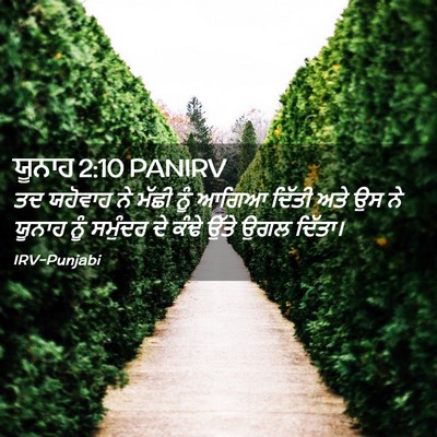 Picture 02 - ਯੂਨਾਹ 2:10 PANIRV - ਤਦ ਯਹੋਵਾਹ ਨੇ ਮੱਛੀ - Bible Verse Picture