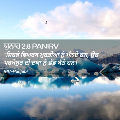 Picture 02 - ਯੂਨਾਹ 2:8 PANIRV - “ਜਿਹੜੇ ਵਿਅਰਥ - Bible Verse Picture