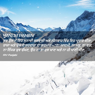 Picture 02 - ਯੂਨਾਹ 3:7 PANIRV - ਤਦ ਉਸ ਨੇ ਇਹ ਮੁਨਾਦੀ - Bible Verse Picture