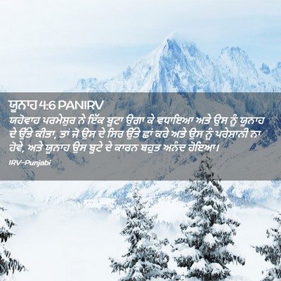 Picture 02 - ਯੂਨਾਹ 4:6 PANIRV - ਯਹੋਵਾਹ ਪਰਮੇਸ਼ੁਰ - Bible Verse Picture
