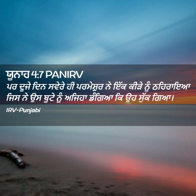 Picture 02 - ਯੂਨਾਹ 4:7 PANIRV - ਪਰ ਦੂਜੇ ਦਿਨ ਸਵੇਰੇ - Bible Verse Picture