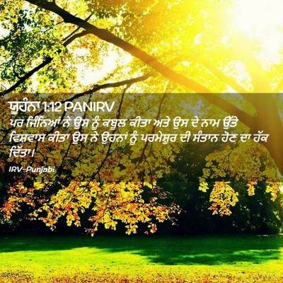 Picture 02 - ਯੂਹੰਨਾ 1:12 PANIRV - ਪਰ ਜਿੰਨਿਆਂ ਨੇ ਉਸ - Bible Verse Picture