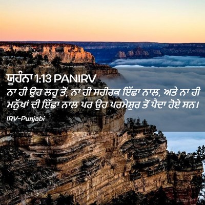 Picture 02 - ਯੂਹੰਨਾ 1:13 PANIRV - ਨਾ ਹੀ ਉਹ ਲਹੂ ਤੋਂ, ਨਾ - Bible Verse Picture